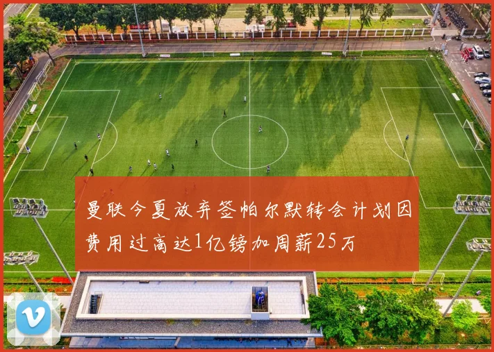 曼联今夏放弃签帕尔默转会计划因费用过高达1亿镑加周薪25万